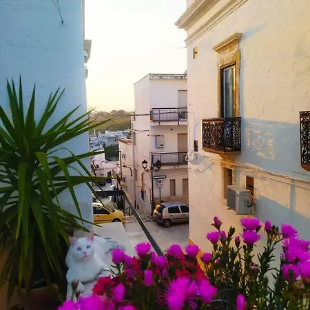 Corte Fiorita Bed & Breakfast